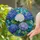 duiyfppz/products/6a86c206b460602378ec1547/gallery/siRA3wZ5cE