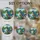 duiyfppz/products/6a86c22239bf77623d9a4299/gallery/RjzRFtJ-wt