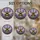 duiyfppz/products/6a86c28081e2aed54664c9bd/gallery/EjksrU5nC0