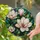duiyfppz/products/6a86c2c3b460606047ec1bd5/gallery/m5LDR50c4N