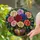 duiyfppz/products/6a86c407e9fdf706f800f699/gallery/yUdja9Juo-