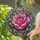 duiyfppz/products/6a86c426e9fdf769e300f7c5/gallery/1tY90X5da_