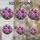 duiyfppz/products/6a86c4b3e9fdf7e3d700fb39/gallery/1O_Og9G3Cy