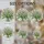 duiyfppz/products/6a86c510b460601730ec350f/gallery/6UI-R9Zgee