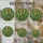 duiyfppz/products/6a86c5d8b460600bb2ec3aef/gallery/o8TACet-eZ