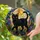 duiyfppz/products/6a86c5e8b460600398ec3b76/gallery/z6Qiq2-_Hi