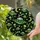 duiyfppz/products/6a86c61481e2aece4e64eb36/gallery/EAl_YSujLR