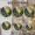 duiyfppz/products/6a86c636e9fdf7553d010943/gallery/5zcdXmbnNj