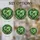 duiyfppz/products/6a86c646b46060407cec3f50/gallery/4ucso_MXEl
