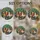 duiyfppz/products/6a86c674b46060632cec4138/gallery/kHNyBmqeAd
