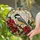 duiyfppz/products/6a86c70c81e2ae590e64f12f/gallery/PYpzdg_Yn8