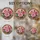duiyfppz/products/6a86c809b46060dafbec5052/gallery/Gh4bJvrVuH