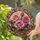 duiyfppz/products/6a86c809b46060dafbec5052/gallery/RVnIlSNK3I
