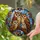 duiyfppz/products/6a86c85281e2ae7da064fafb/gallery/1j9pno71uS