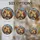 duiyfppz/products/6a86c85281e2ae7da064fafb/gallery/kLUc4qU9U2