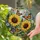 duiyfppz/products/6a86c97039bf7726969a8c51/gallery/TzM3Mtgvgu