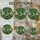 duiyfppz/products/6a86c9d781e2aea6f865050f/gallery/cBflrkINin
