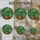 duiyfppz/products/6a86ca62e9fdf7255301260a/gallery/zMXfwZIGcG