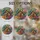 duiyfppz/products/6a86cd4a81e2ae25b16518b2/gallery/hv4TGw5QNF