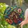 duiyfppz/products/6a86cd4a81e2ae25b16518b2/gallery/o32EnMKV_f