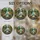 duiyfppz/products/6a86cd74e9fdf77503013635/gallery/G_CqRgkKMo