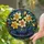 duiyfppz/products/6a86cd88b460607f98ec835c/gallery/0RlsPKDV8q