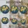 duiyfppz/products/6a86cd88b460607f98ec835c/gallery/TjczYStJYU