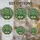 duiyfppz/products/6a86ce6981e2ae2922651ec3/gallery/BvGfjgBaM3