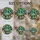 duiyfppz/products/6a86cef4b460607ce8ec8bec/gallery/azqxovCpgq
