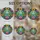 duiyfppz/products/6a86cf1ce9fdf7743f013fcb/gallery/CW-2LocOG3