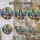 duiyfppz/products/6a86cf40b460600e23ec8da5/gallery/eoi-2knPKS