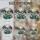 duiyfppz/products/6a86cf8639bf773a989aba97/gallery/pNYs3kR8XZ