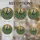 duiyfppz/products/6a86cfc381e2ae84aa6529f9/gallery/YzrqieQUVQ