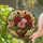 duiyfppz/products/6a86cffae9fdf7932e0144f3/gallery/L4xv8zj94Y