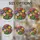 duiyfppz/products/6a86d0a1b46060239fec96b0/gallery/1cVfC1tbhC