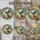 duiyfppz/products/6a86d120b460602b84ec9e91/gallery/ZJhuGEfgHh
