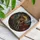 duiyfppz/products/6a86d130e9fdf7c6d7014e0b/gallery/DfEEvgATZg