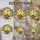duiyfppz/products/6a86d170e9fdf72fa0014f3d/gallery/2ijNdUpzy4