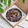 duiyfppz/products/6a86d1da39bf77cdf19ad235/gallery/FmU-A0mZaB