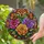 duiyfppz/products/6a86d32081e2aecf7665457a/gallery/AJPUGA6spg