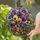 duiyfppz/products/6a86d4288133aa8fc2c10b48/gallery/4k_AgLRl-v
