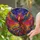 duiyfppz/products/6a86d43939bf771cc19ae782/gallery/G8ZA14Dmst