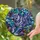 duiyfppz/products/6a86d4b881e2ae5b3e654f9d/gallery/TVcAqfmoz-