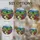 duiyfppz/products/6a86d5028133aa1654c11299/gallery/UVV-xfUuo2