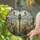 duiyfppz/products/6a86d5418133aa7044c1144d/gallery/BHffJdRoDW