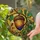 duiyfppz/products/6a86d68381e2ae674b655ebe/gallery/TOdT-Os3s9