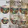 duiyfppz/products/6a86d708e9fdf7250a017e99/gallery/J9CBhcD9_u