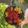duiyfppz/products/6a86d75d39bf7798e89b01ab/gallery/EpKISehny-