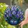 duiyfppz/products/6a86d77481e2ae7777656470/gallery/5Irj6UIpXK