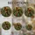 duiyfppz/products/6a86d803e9fdf7a1f10184cc/gallery/pPjjQwqUU8